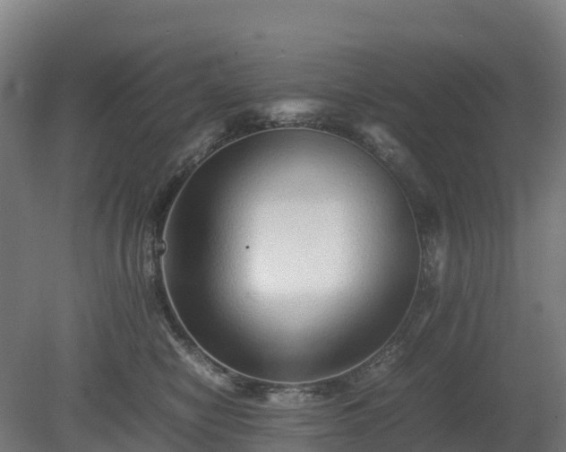 X0000080110470200612151651