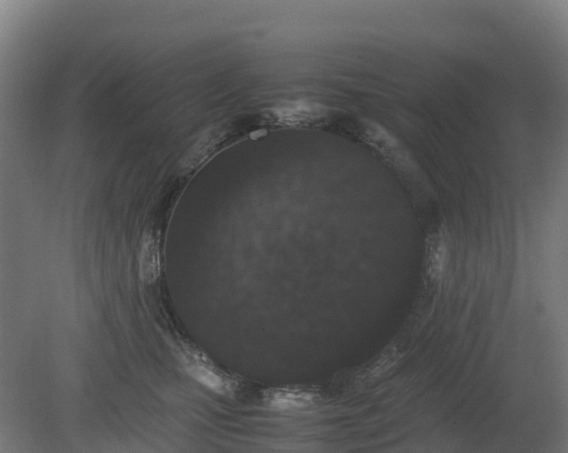 X0000080110471200612151651