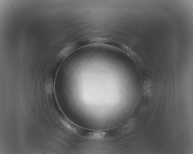 X0000080110474200612151651