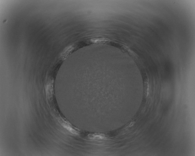 X0000080110475200612151651