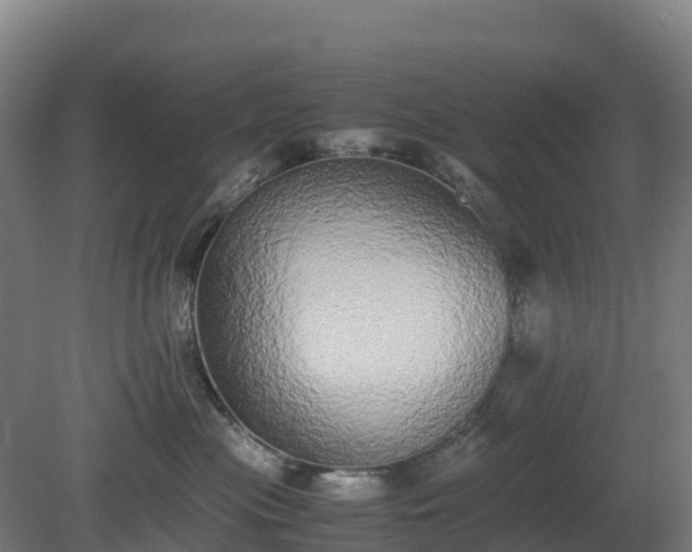 X0000080110477200612151651