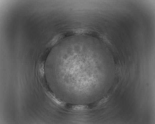X0000080110479200612151651