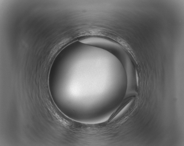 X0000080110481200612151651
