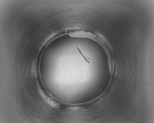 X0000080110482200612151651
