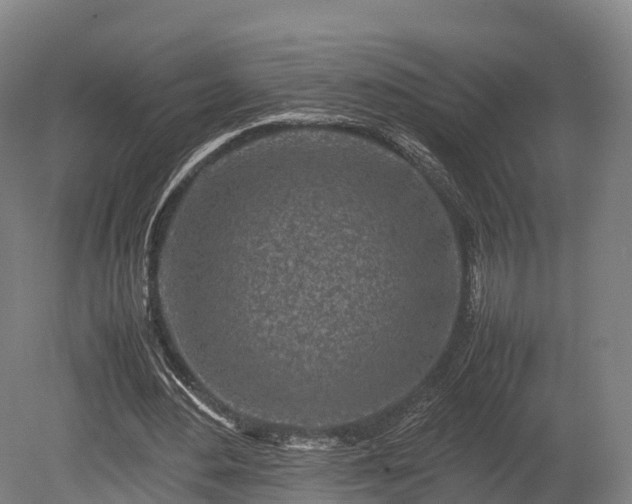 X0000080110484200612151651