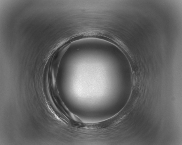 X0000080110485200612151651