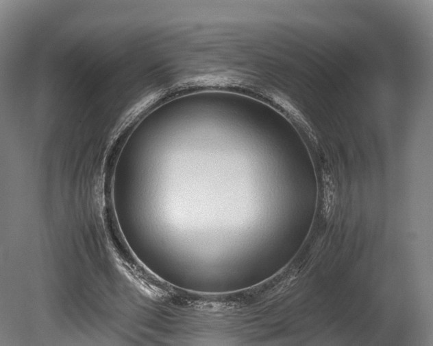 X0000080110486200612151650