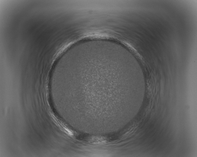 X0000080110487200612151650
