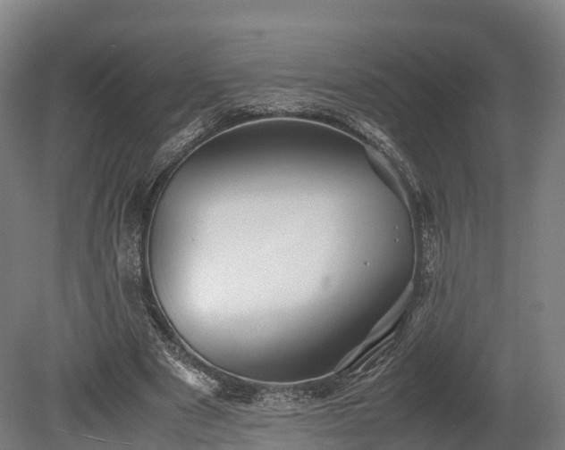 X0000080110489200612151650