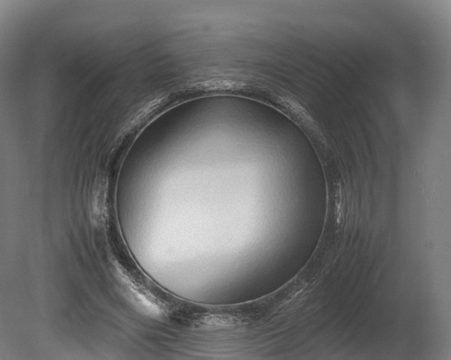 X0000080110490200612151650