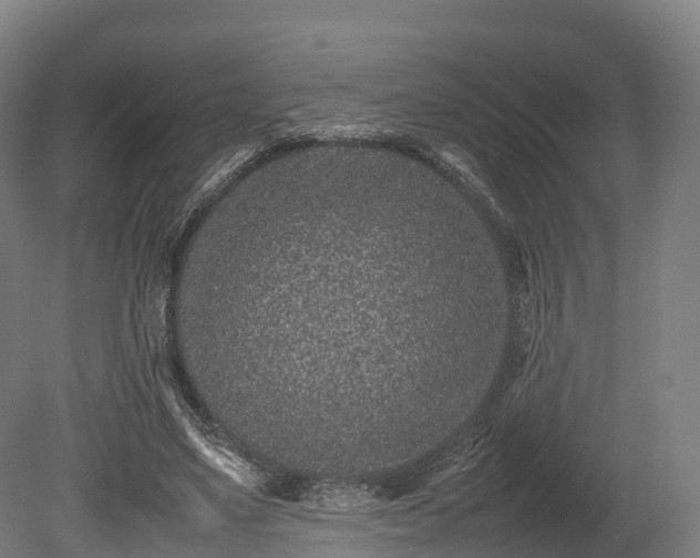 X0000080110491200612151650