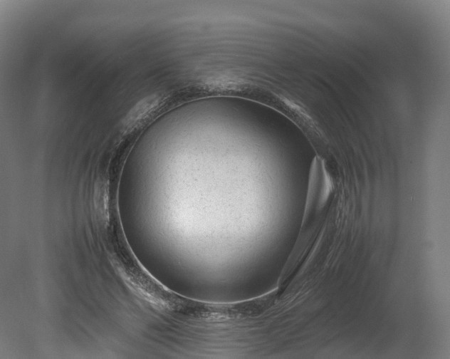 X0000080110494200612151650