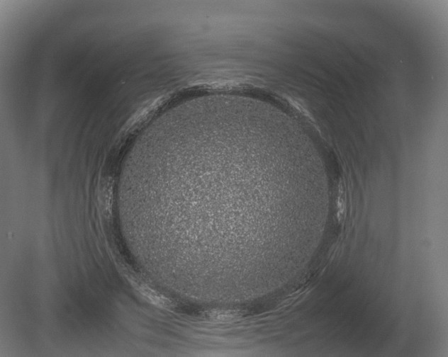 X0000080110495200612151650