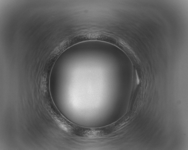 X0000080110497200612151650