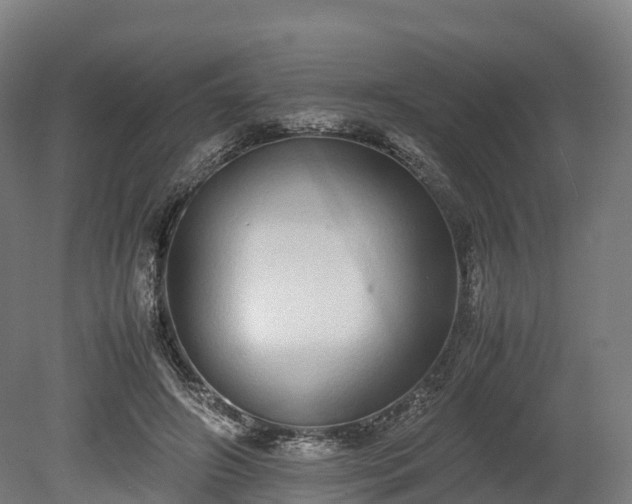 X0000080110498200612151650
