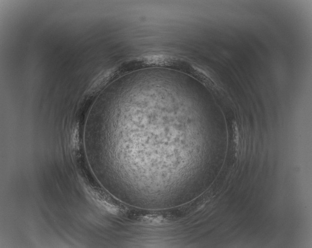 X0000080110502200612151650
