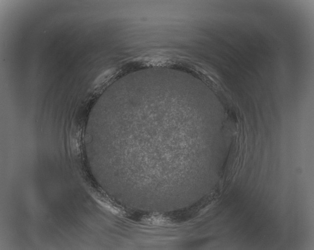 X0000080110503200612151650