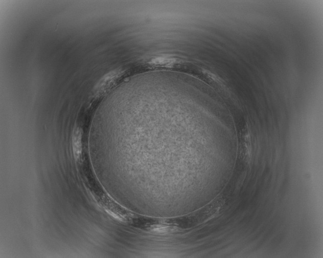 X0000080110504200612151650