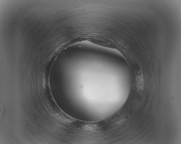 X0000080110508200612151650