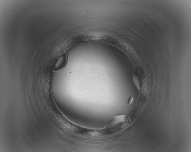 X0000080110509200612151650