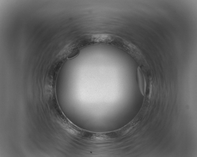 X0000080110510200612151650