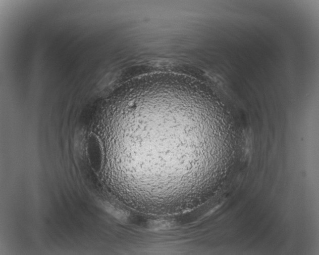 X0000080110511200612151650