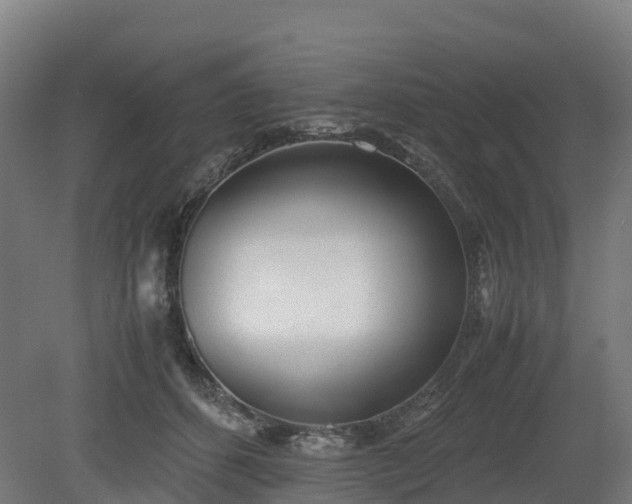 X0000080110512200612151650