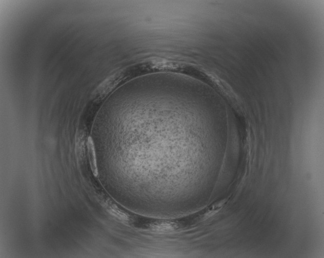 X0000080110513200612151650
