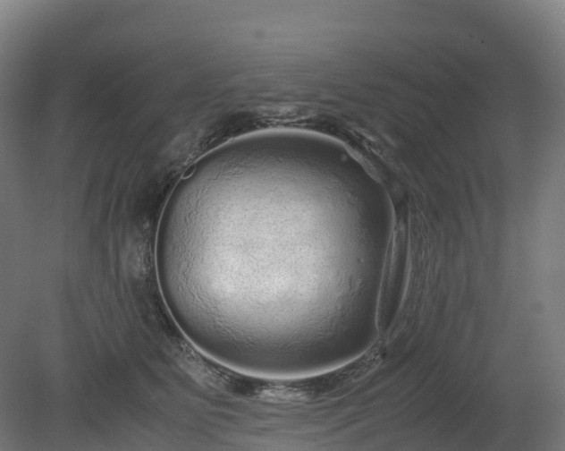 X0000080110515200612151650