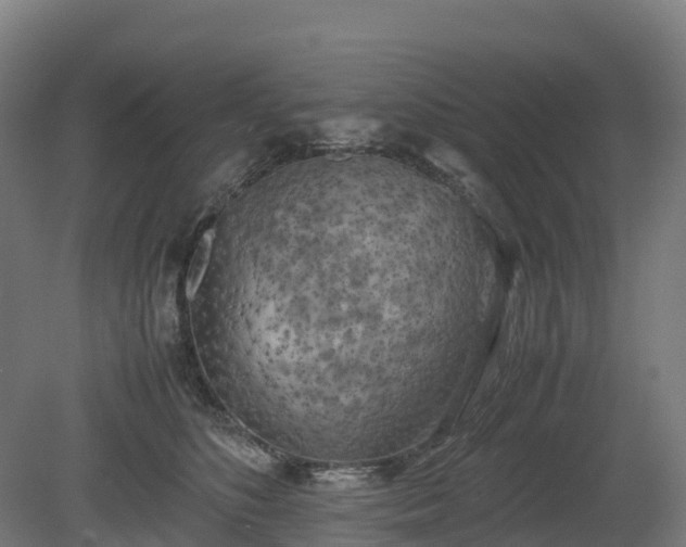 X0000080110516200612151650