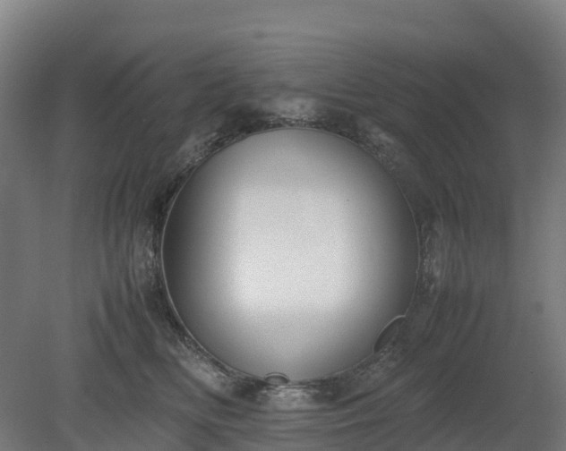 X0000080110518200612151650