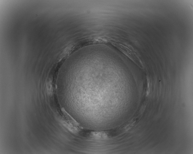 X0000080110520200612151650