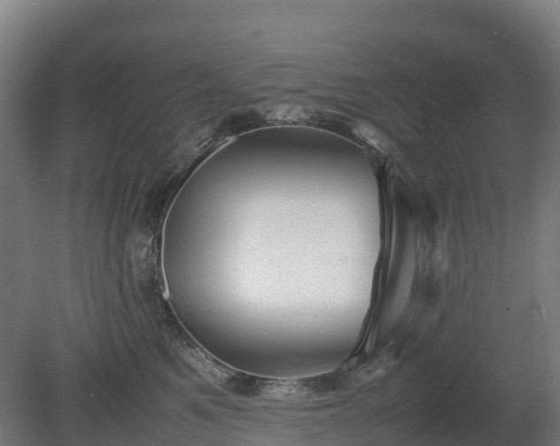 X0000080110521200612151650