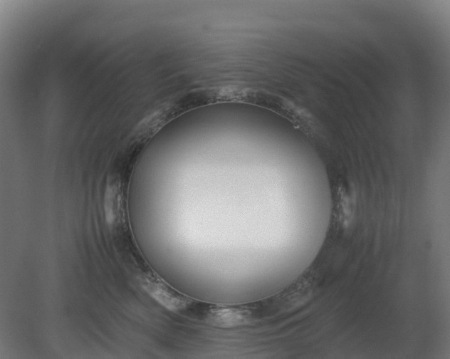 X0000080110522200612151650