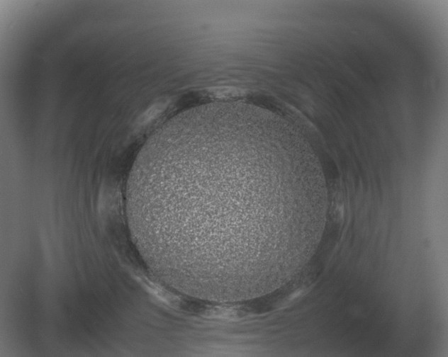 X0000080110523200612151650