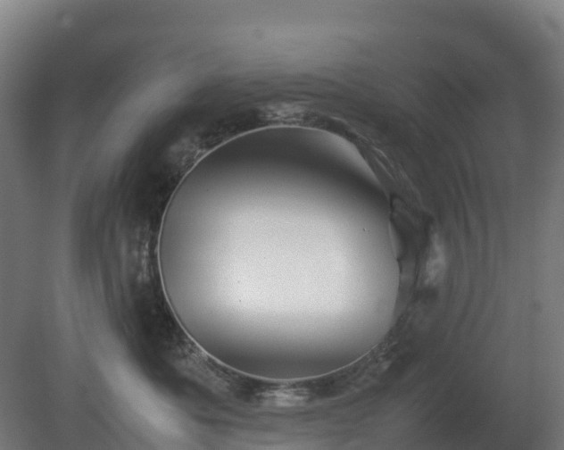 X0000080110525200612151650