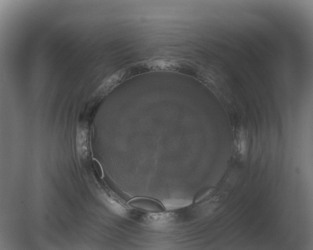 X0000080110526200612151650