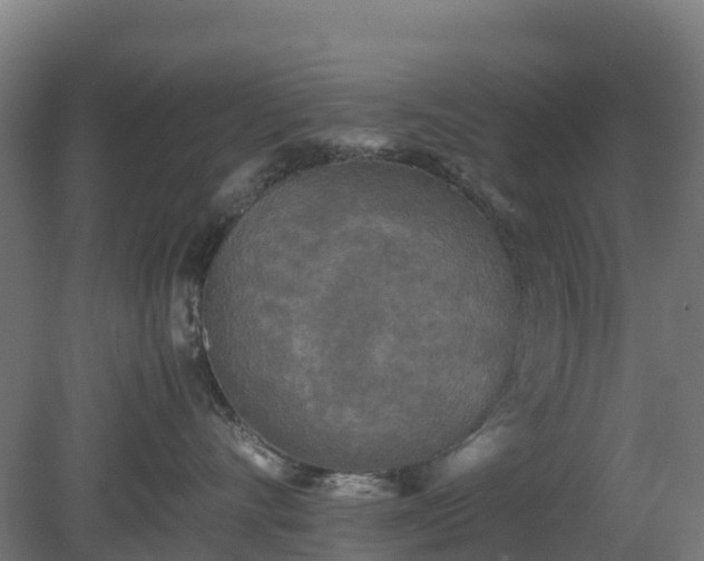 X0000080110528200612151650