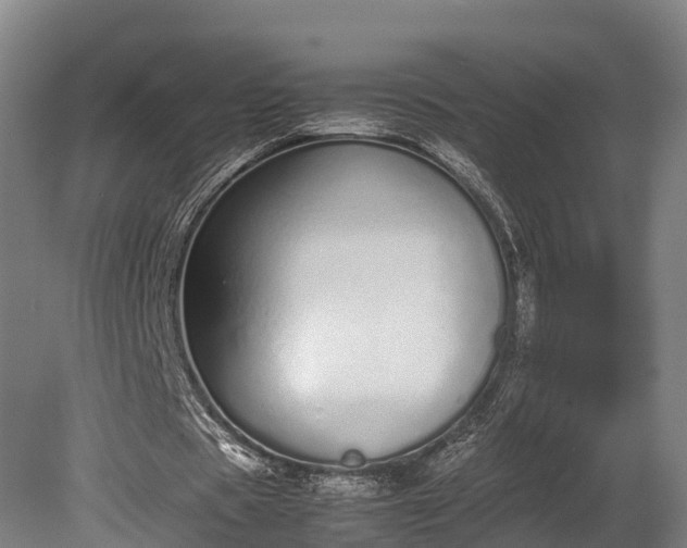 X0000080110529200612151649