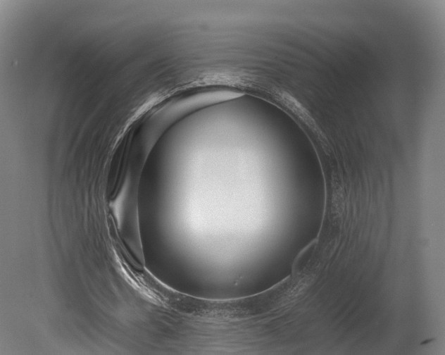 X0000080110530200612151649