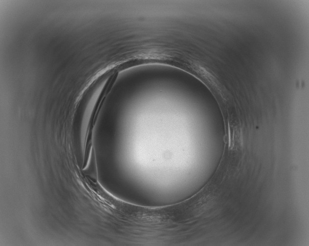 X0000080110531200612151649