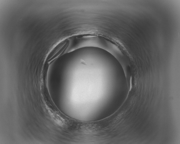 X0000080110532200612151649