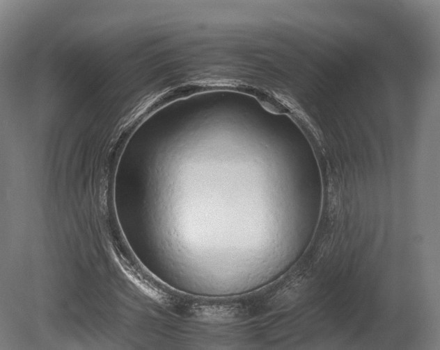 X0000080110533200612151649