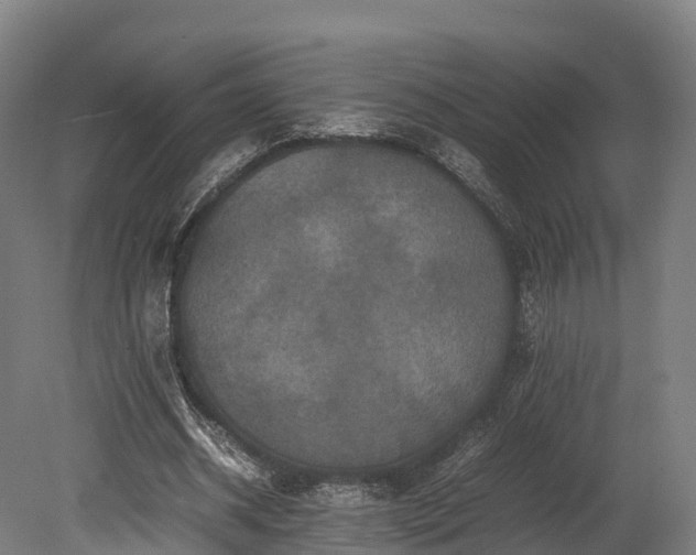 X0000080110534200612151649