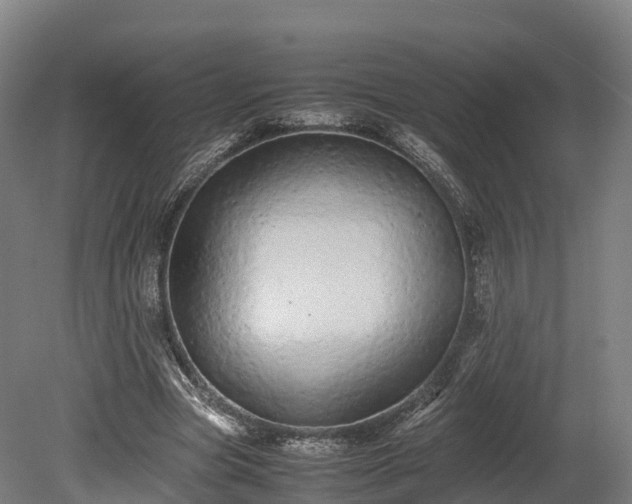 X0000080110537200612151649
