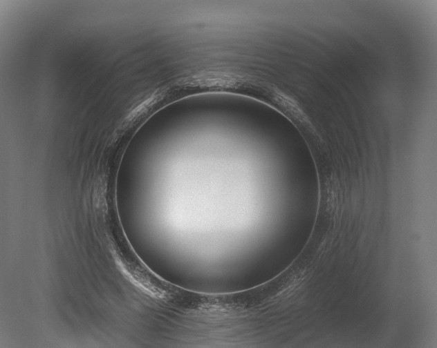 X0000080110538200612151649