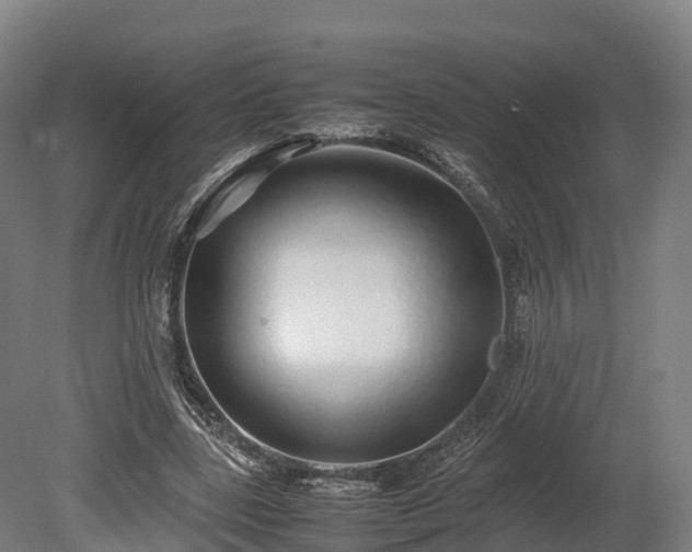 X0000080110539200612151649