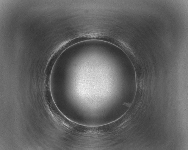 X0000080110540200612151649