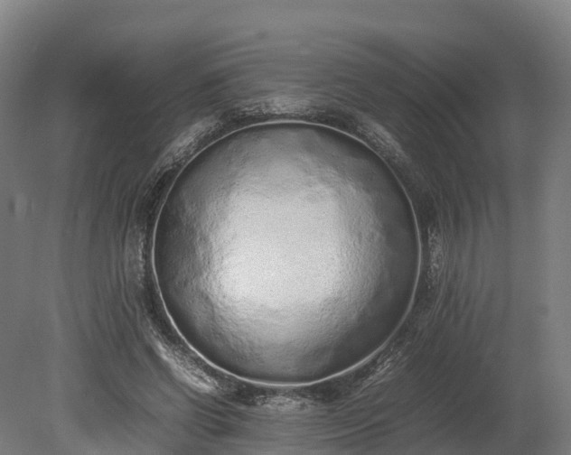X0000080110542200612151649