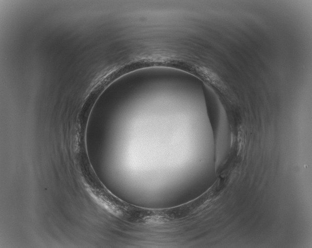 X0000080110544200612151649